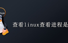 查看linux查看进程是否存在
