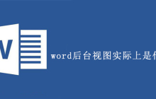 word后台视图实际上是什么选项卡