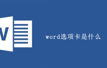 word选项卡是什么