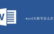 word大括号怎么打两行