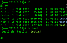【Linux学习】shell脚本语言
