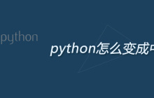 python怎么变成中文版