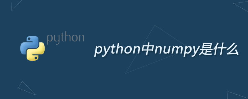 python中numpy是什么