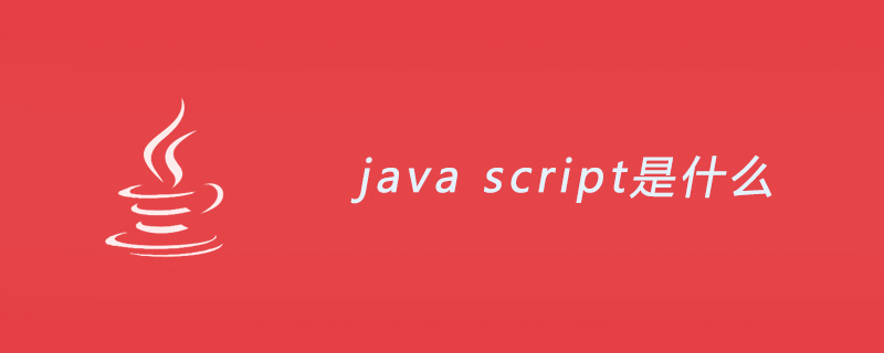 java script是什么？和Java有什么联系？