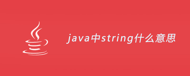 java中string什么意思