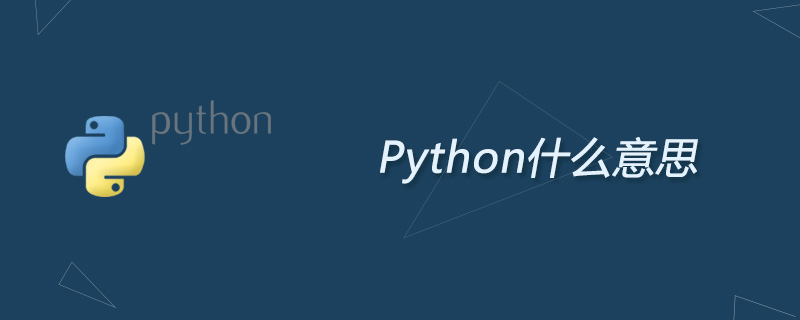 Python什么意思