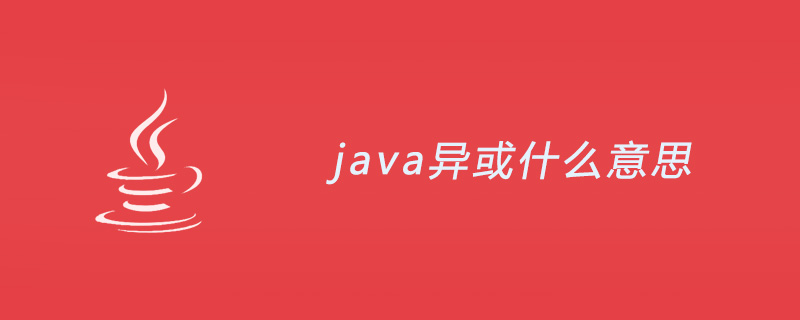 java异或什么意思？