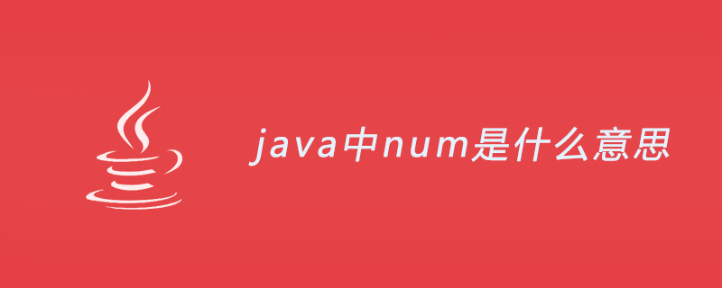 java中num是什么意思