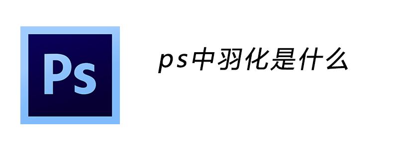 ps中羽化是什么意思