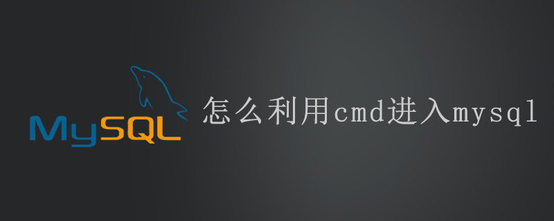 怎么利用cmd進入mysql-小浪學習網