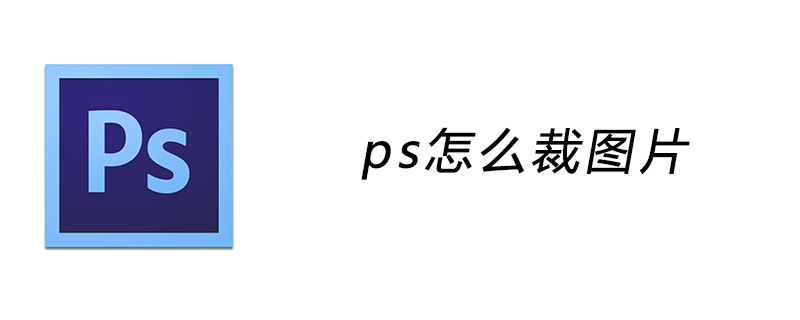 ps怎么裁图片