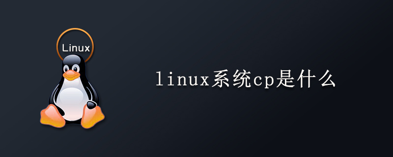 linux系统cp是什么