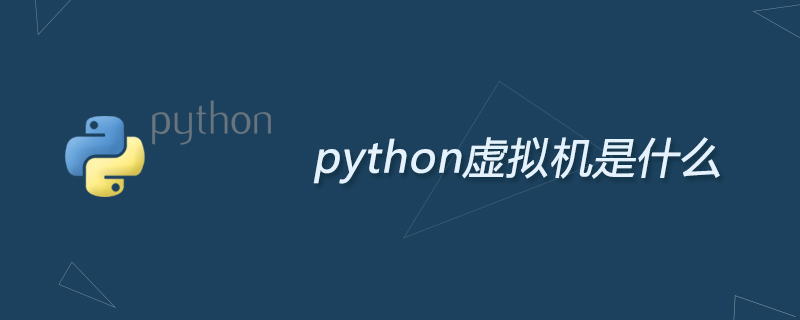 Python 가상 머신이란 무엇입니까?