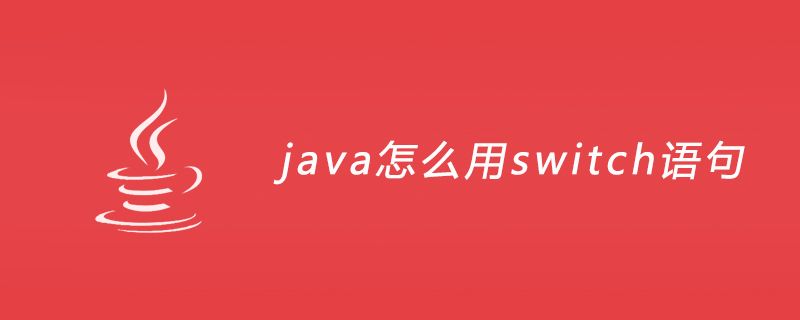 java怎么用switch语句