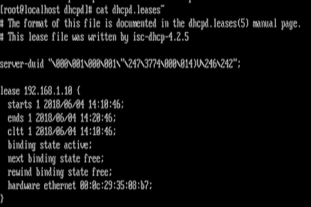 linux怎么启动dhcp服务器