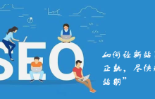 如何让新站更快进入正轨，尽快规避“新站期”