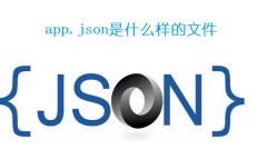 What kind of file is app.json?