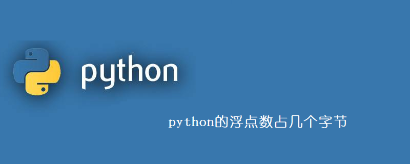 python的浮点数占几个字节