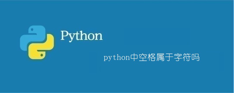 举例说明python中空格是属于字符
