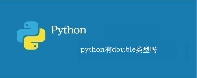 python有double类型吗