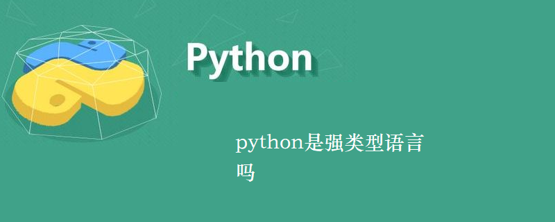 python是强类型语言吗