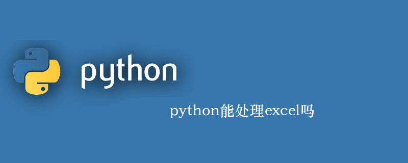 python能处理excel吗