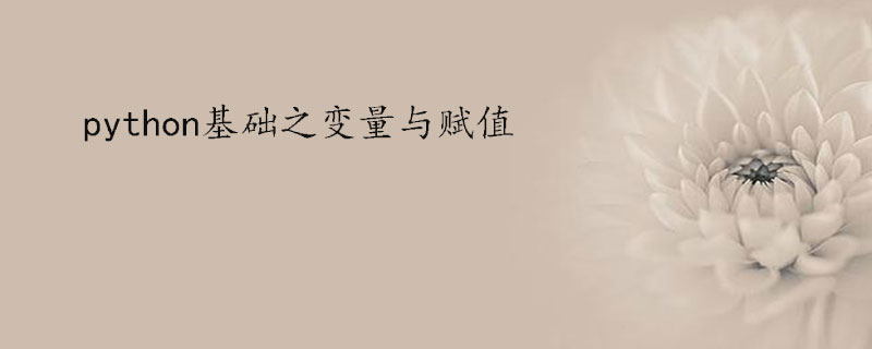 python怎么给变量赋值