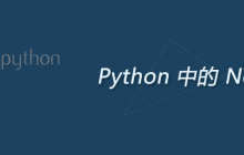 python中none表示什么