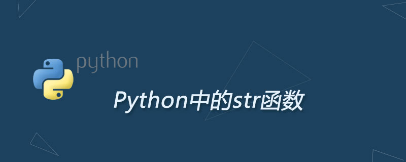 What is str in Python-Python Tutorial-php.cn