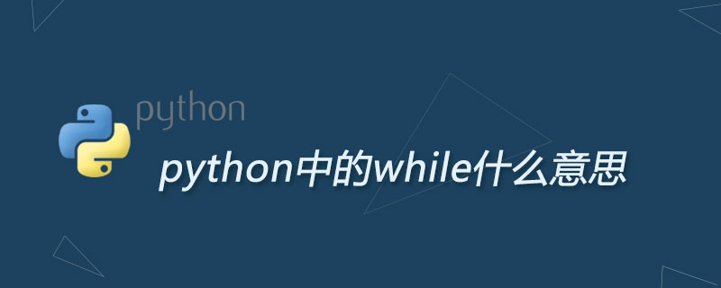 python中的while什么意思
