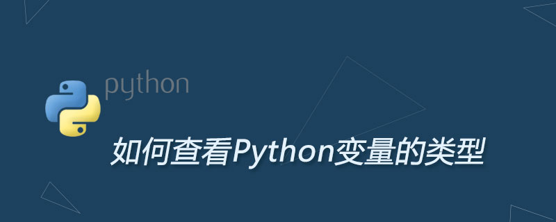 如何查看Python变量的类型
