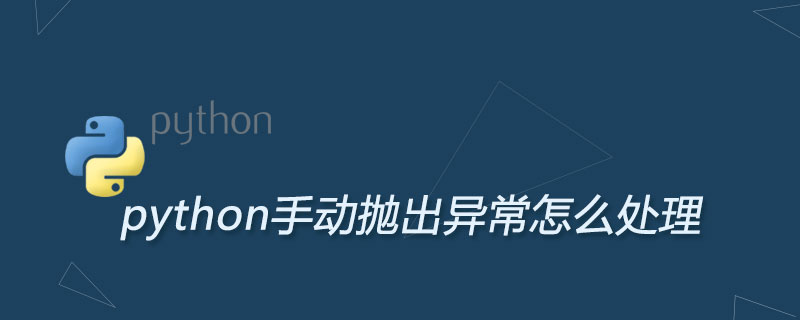 python手动抛出异常怎么处理