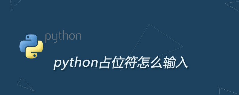python占位符怎么输入