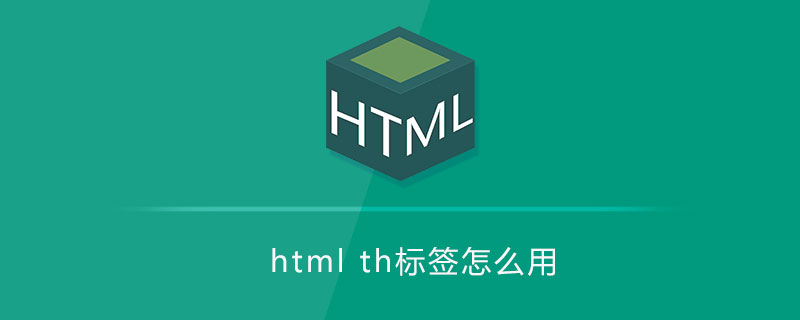 html th标签怎么用