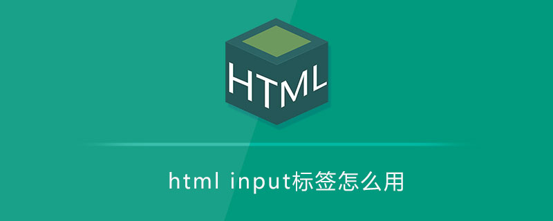 html<input>标签怎么用