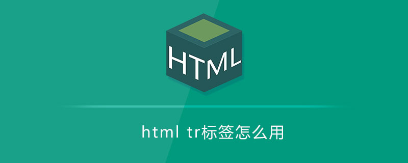 html tr标签怎么用