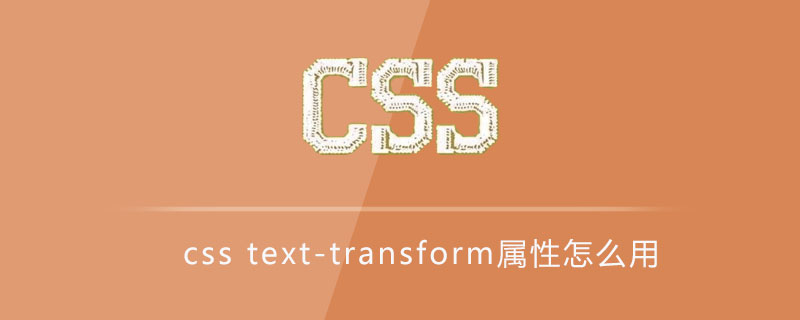 css text-transform属性怎么用