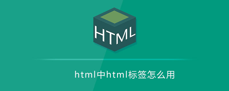 html html标签怎么用