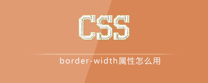 css border-width属性怎么用