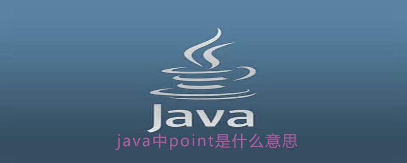 java中point是什么意思