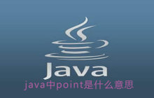 java中point是什么意思