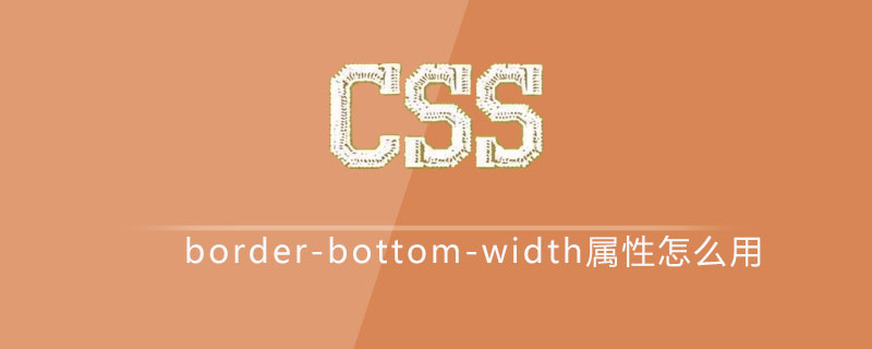 css border-bottom-width属性如何使用