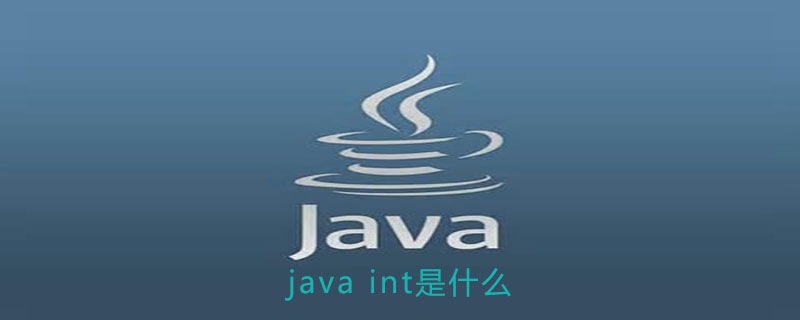 java int是什么