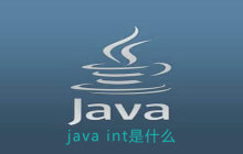 java int是什么