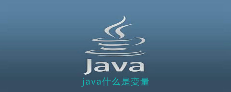 java中变量是什么