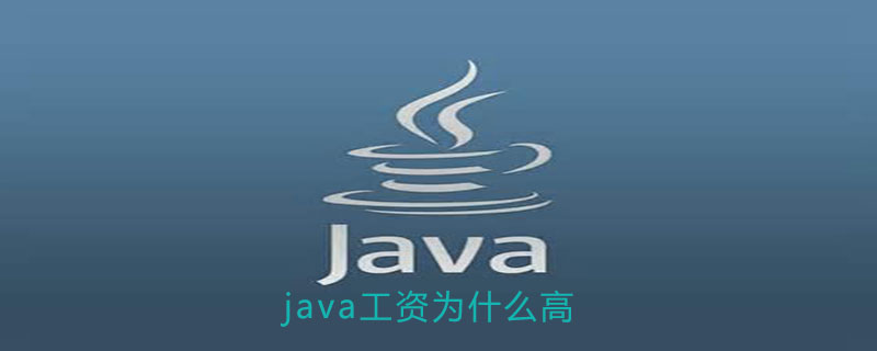 java工资为什么高