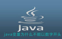 java变量为什么不能以数字开头