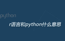 r语言和python什么意思
