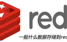 一般什么数据存储到redis里