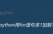 pythn用for语句求1加到100